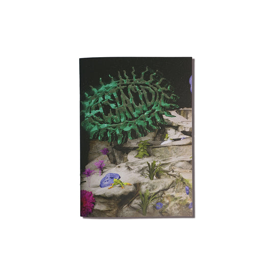 Ecstacid Zine